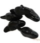 Astra Souris noires