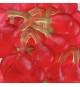 bonbons cerises rouges Haribo
