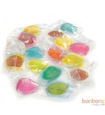 Coquillages roudoudou - assortiment de sucette dans un coquillage