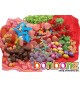 Candyz - 1 kg bonbons mix