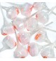 sucette dextro poudre - Double Lollies