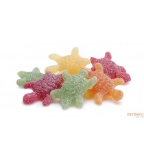 Tortues citriques - Bonbons Geldhof - (22 à 24gr/pc)