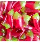 Bonbons piquants en forme de piments rouges - confiserie Fini