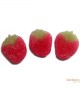 Fraises acidulées - bonbons citriques rouges Lutti